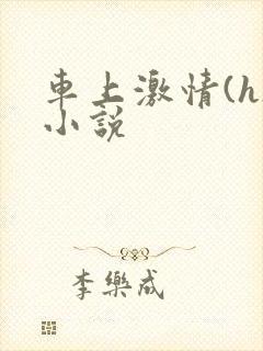 车上激情(h)小说