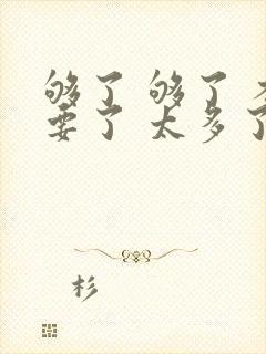 够了 够了 不要了 太多了