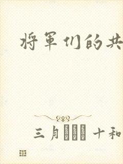 将军们的共妻H