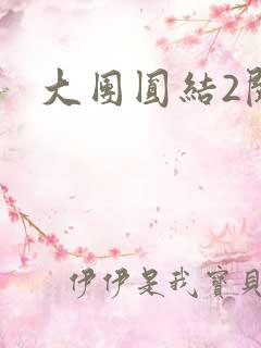 大团圆结2阅读