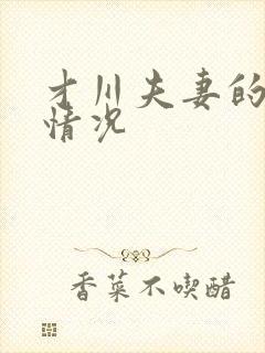 才川夫妻的恋爱情况