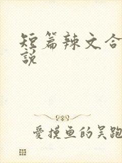 短篇辣文合集小说