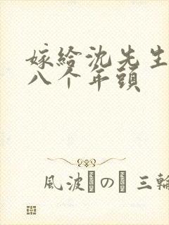 嫁给沈先生的第八个年头