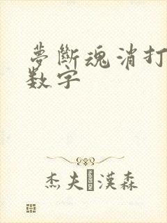 梦断魂消打三个数字