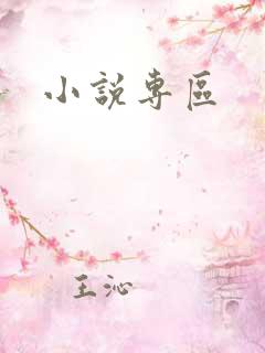 小说专区