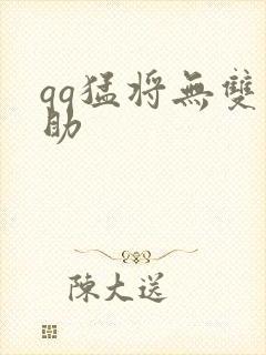 qq猛将无双辅助