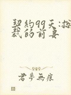 契约99天:总裁的前妻