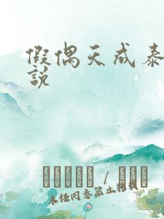 假偶天成泰国小说