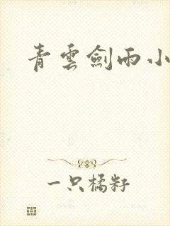 青云剑雨小说