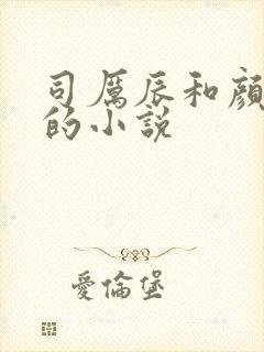 司厉辰和颜辞兮的小说
