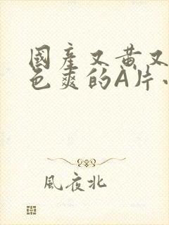 国产又黄又大又色爽的A片小说