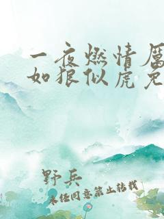 一夜燃情厉先生如狼似虎免费阅读动漫