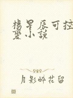 杨星辰可控核聚变小说