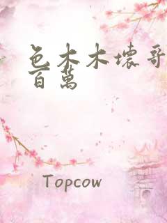 色木木坏哥哥集百万