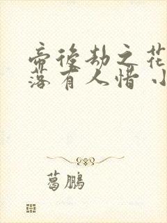 帝后劫之花开花落有人惜 小说