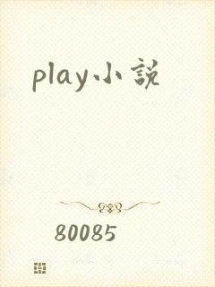play小说