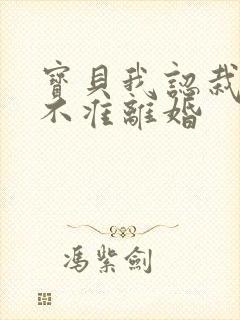 宝贝我认栽老婆不准离婚