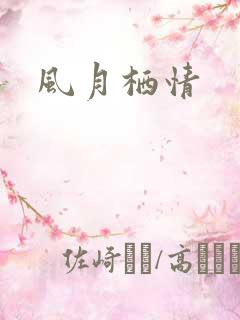 风月栖情