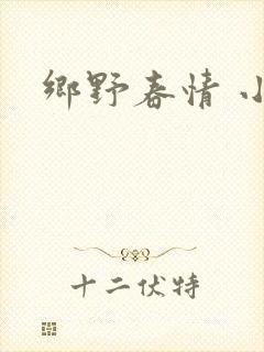 乡野春情 小说