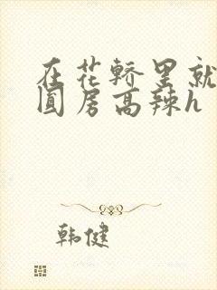 在花轿里就开始圆房高辣h