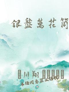 银盘万花筒小说