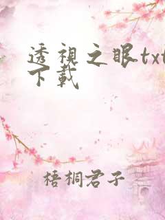 透视之眼txt下载