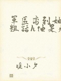 军区脔到她哭h粗话h他是疯批