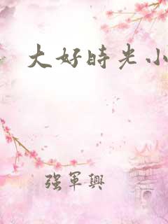 大好时光小说