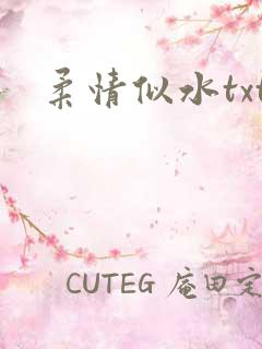 柔情似水txt