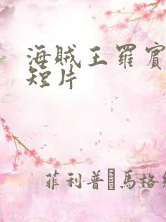 海贼王罗宾被h短片