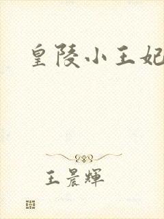 皇陵小王妃