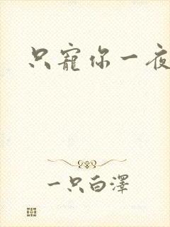 只宠你一夜