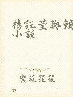 杨钰莹与赖昌星小说