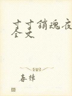 寸寸销魂夜春光全文