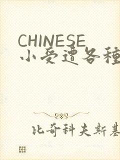 CHINESE小受遭各种打桩