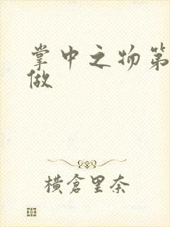 掌中之物第一次做