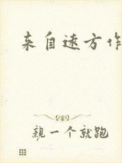 来自远方作品集