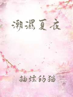 潮湿夏夜
