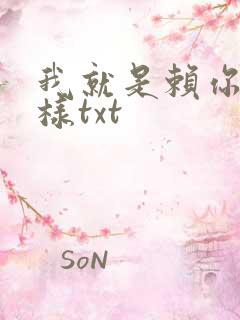 我就是赖你 怎样txt