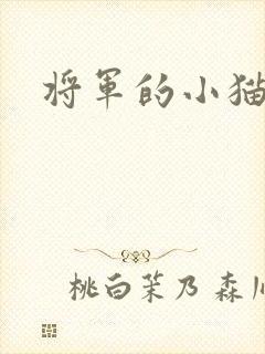 将军的小猫咪