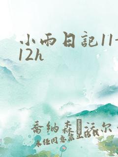 小雨日记11-12h