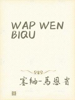 WAP WENBIQU