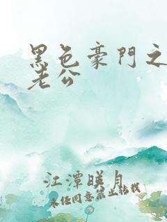 黑色豪门之王子老公