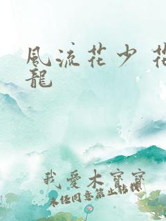 风流花少 花睿龙