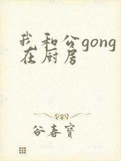我和公gong在厨房