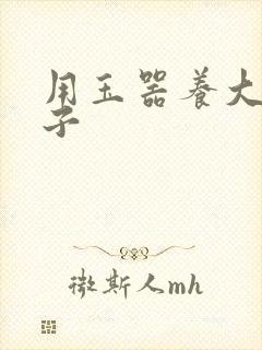 用玉器养大的皇子