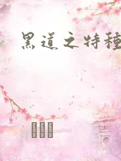 黑道之特种兵王