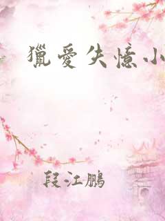 猎爱失忆小宠儿