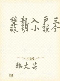 双龙入户三人行苏玥小说全文阅读