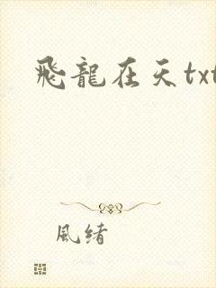 飞龙在天txt